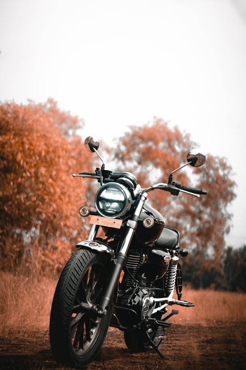Motorcykel i höstlandskap